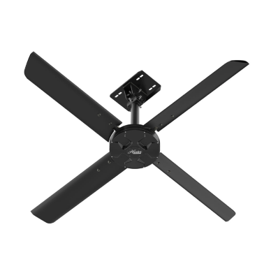 XP 1