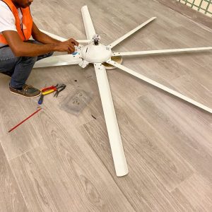 img 3860
